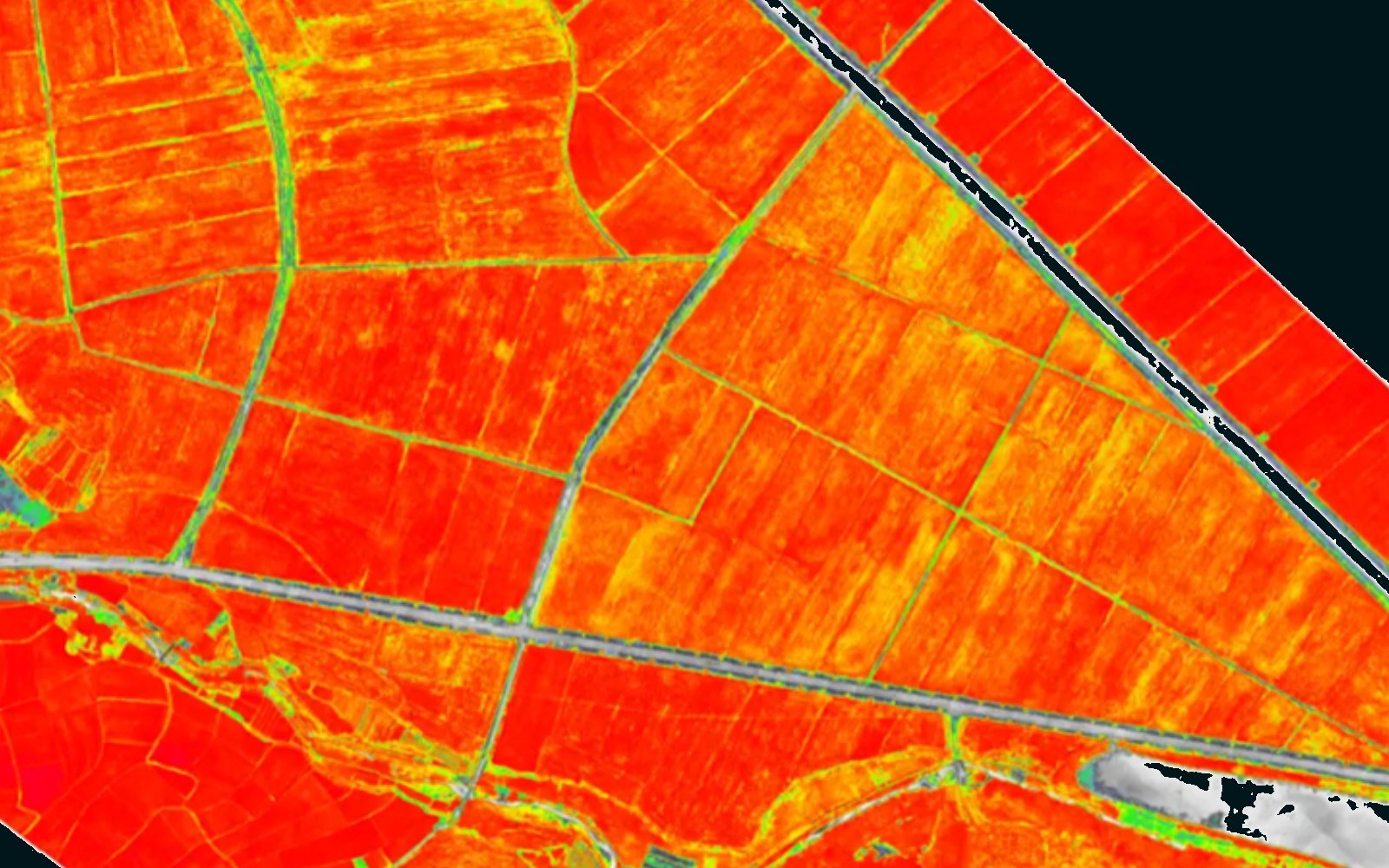 NDVI-analys av samma yta — variationer i växtlighetens vitalitet framträder i falskfärg